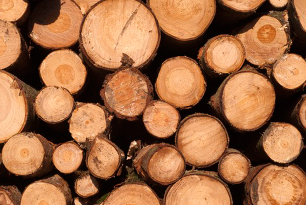 Seminar om tømmer, landbruk og levende dyr