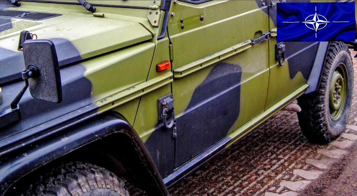 NATO-øvelse kan gi køer