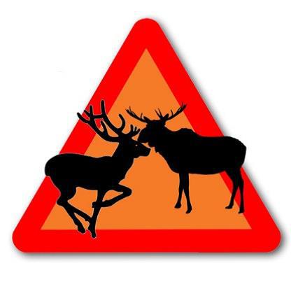 Trafikksikkerhetsapp for dyrepåkjørsler