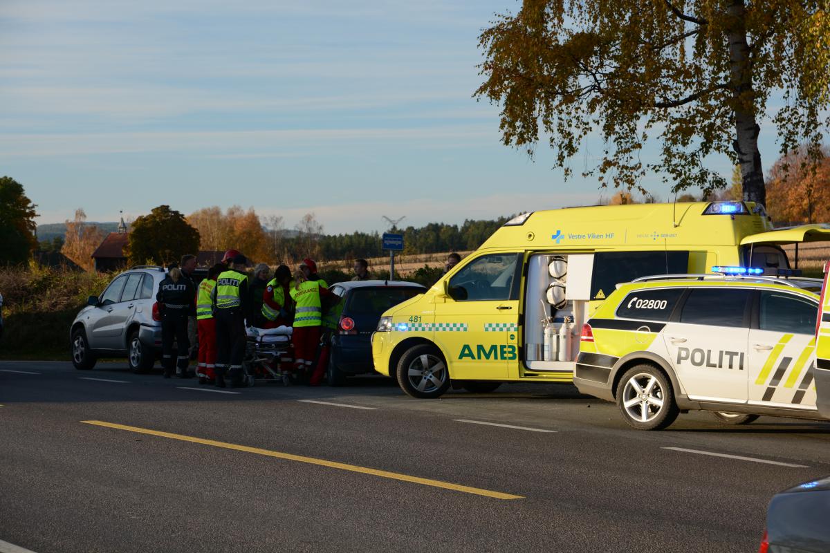 Vegdirektørens svar på tiltale