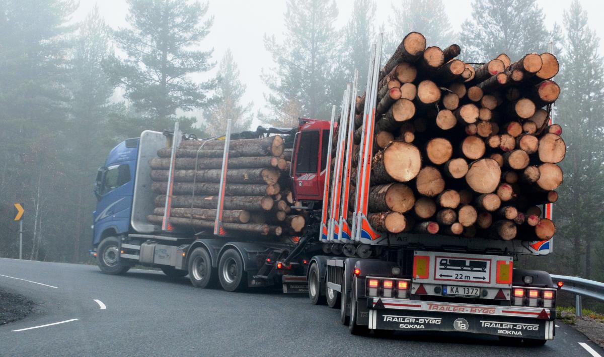 Ingen høydebegrensning 