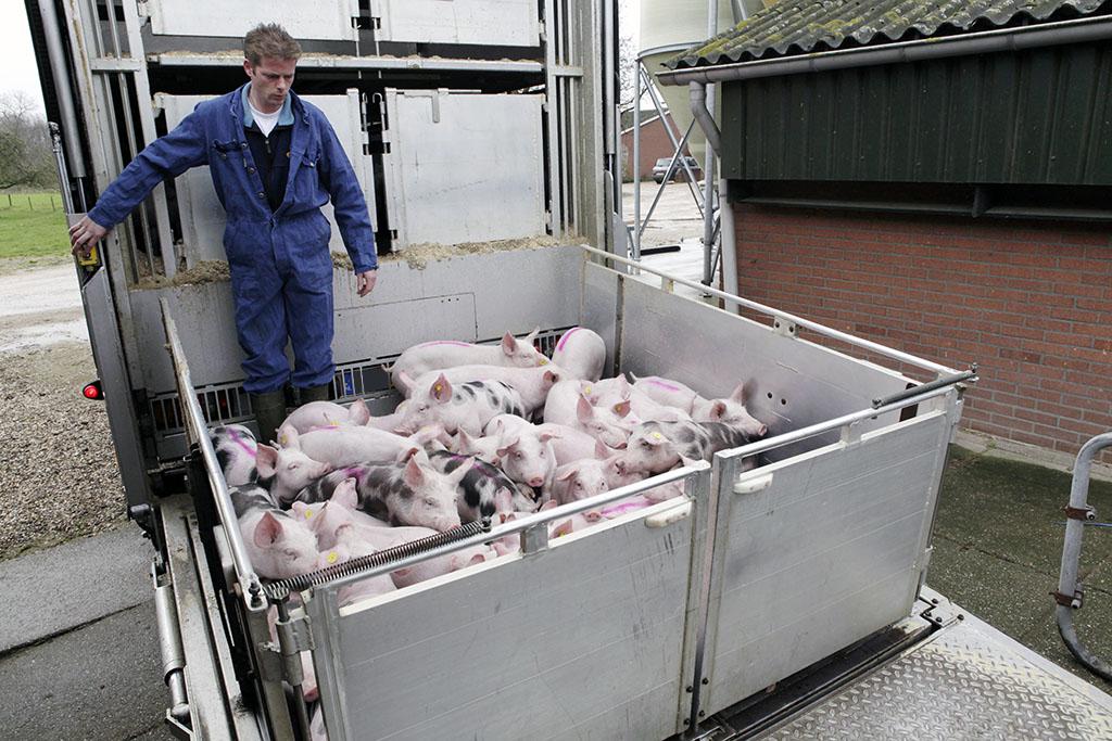 Seminar for dyretransportører