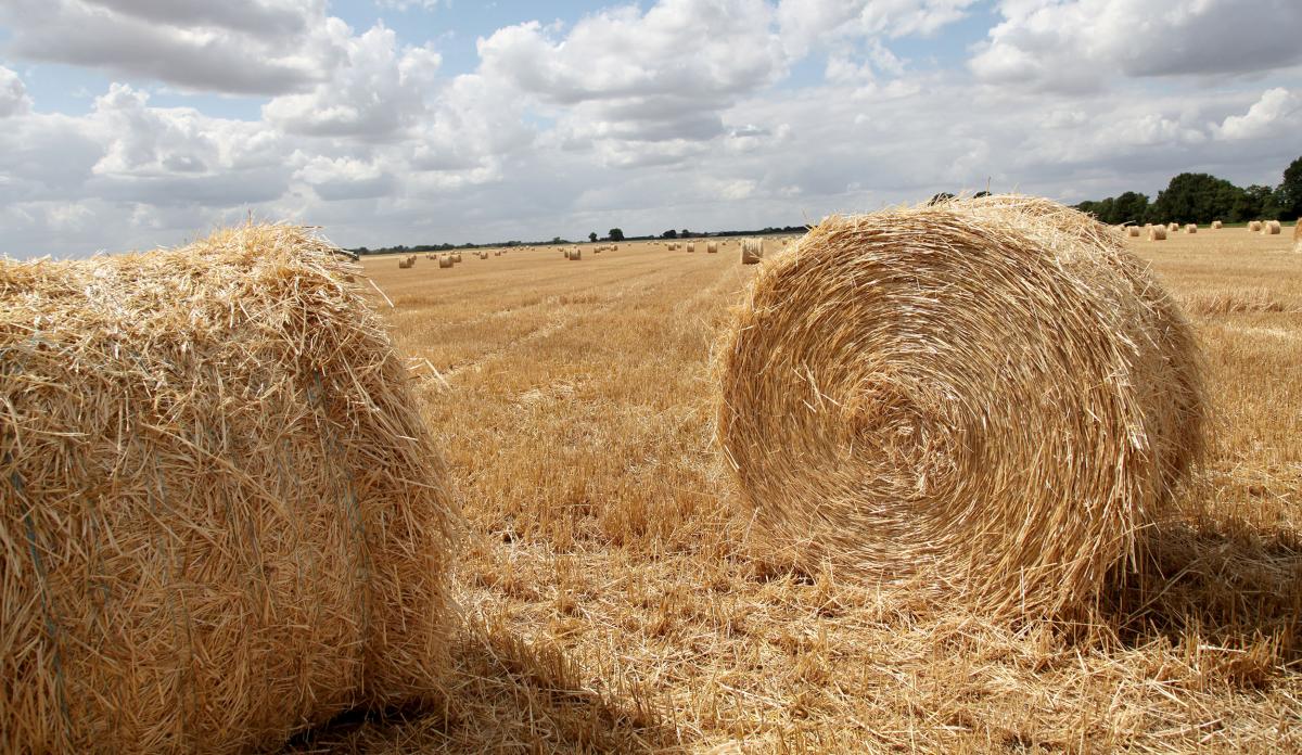 Dekk til halm under transport