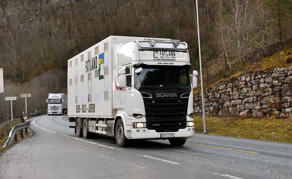Erklærer unntakstilstand for dyretransportører