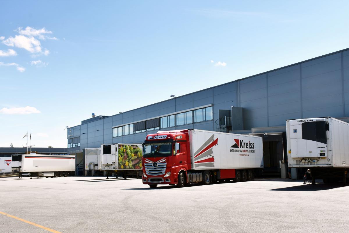 Kreiss-direktør sier opp midt i tilsynskaos