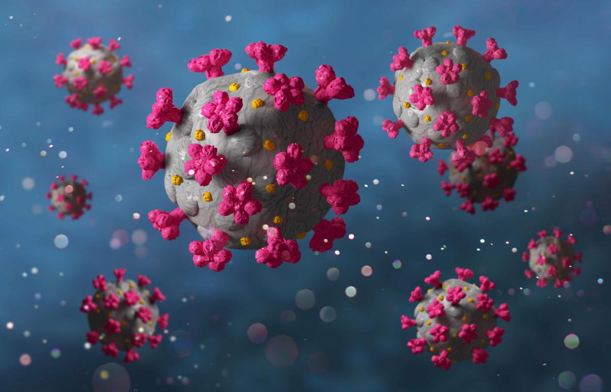 Her er svarene på transportbedriftenes vanligste korona-spørsmål