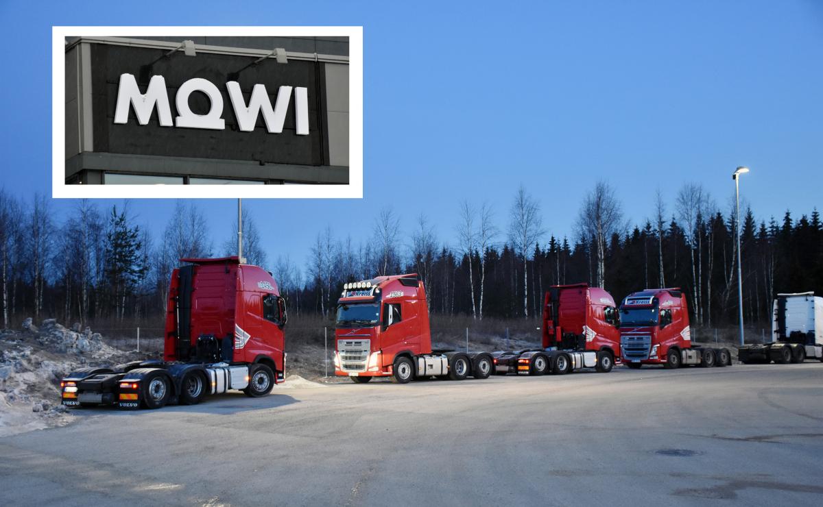 Kreiss-leir hos Mowi: Sjømatgigant nekter å svare