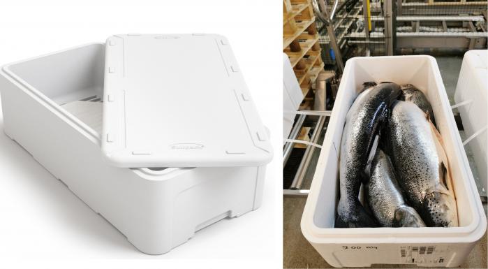 Forhindrer avrenning: Med denne kassen kunne man fraktet fisk og samtidig forhindre avrenning på veiene. Den har rist i bunnen hvor smeltevannet renner ned, og fisken derfor blir ikke liggende i vann. Foto: Br. Sunde