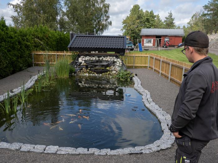 HOBBY:  Marius har bygget egen karpedam i hagen. Her svømmer det nå rundt trettitre halvstore karpefisker i en to meter dyp dam på trettifem kubikk.