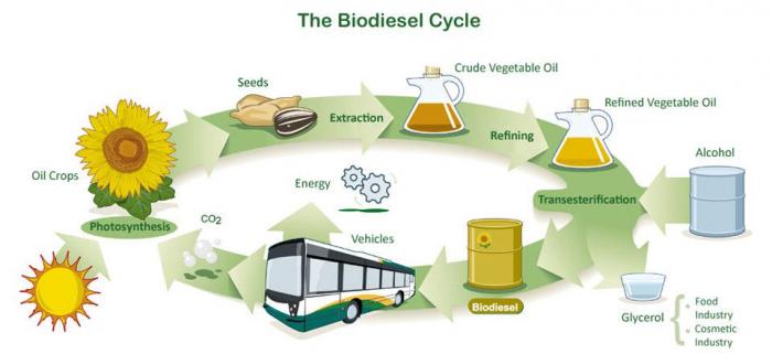 Illustrasjon: GreenerPro