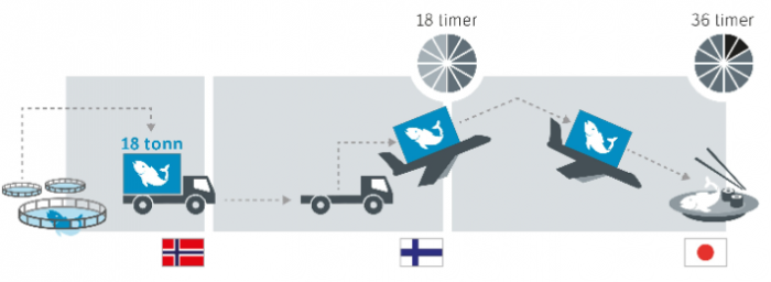 Det tar ikke mer enn 36 timer fra laksen svømmer rundt i en mære ved Skjervøy og til den ligger på en tallerken i Tokyo. (Illustrasjon: Statens vegvesen)