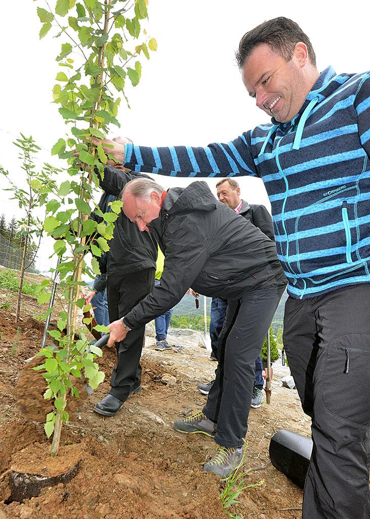 Frank Asle Mathisen (Daglig leder Midt-Gudbrandsdal næringsforening) holder treet mens ordfører i Sel kommune, Dag Erik Pryhn (Ap) tar spadetak. Lastebileier Åge Widme overvåker i bakgrunnen. Foto: Bård Bårdløkken